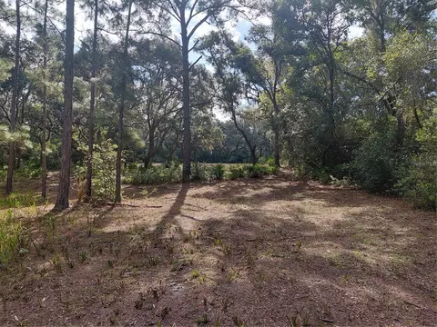 Grindstone Drive, Webster, FL 33597 photo 11