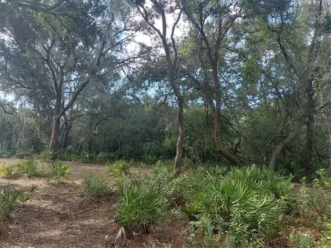 Grindstone Drive, Webster, FL 33597 photo 12