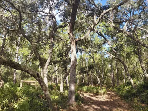 Grindstone Drive, Webster, FL 33597 photo 7
