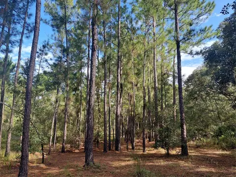 Grindstone Drive, Webster, FL 33597 photo 5