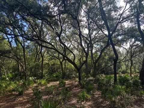 Grindstone Drive, Webster, FL 33597 photo 13