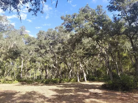 Grindstone Drive, Webster, FL 33597 photo 4