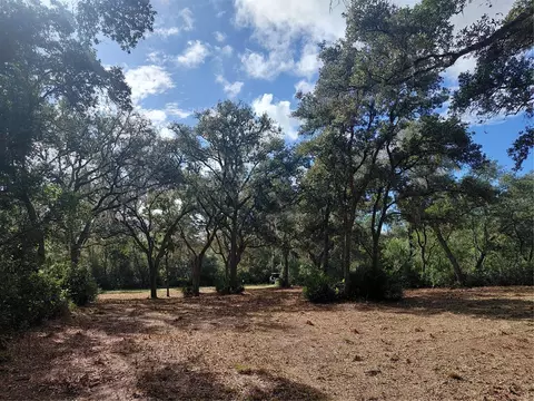 Grindstone Drive, Webster, FL 33597 photo 2