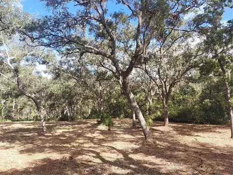 Grindstone Drive, Webster, FL 33597 photo 15