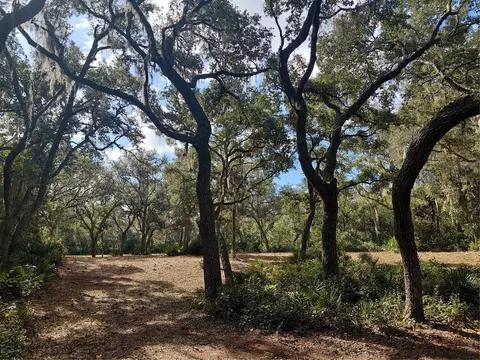 Grindstone Drive, Webster, FL 33597 photo 9