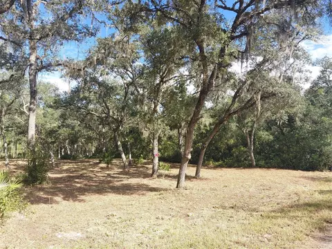 Grindstone Drive, Webster, FL 33597 photo 17