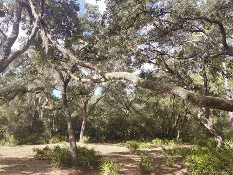 Grindstone Drive, Webster, FL 33597 photo 8