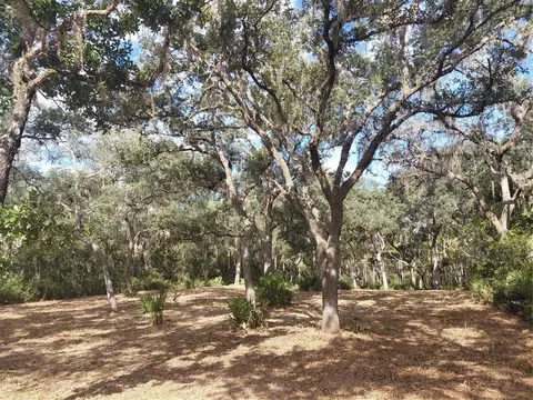 Grindstone Drive, Webster, FL 33597 photo 6