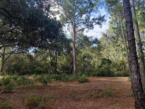 Grindstone Drive, Webster, FL 33597 photo 3
