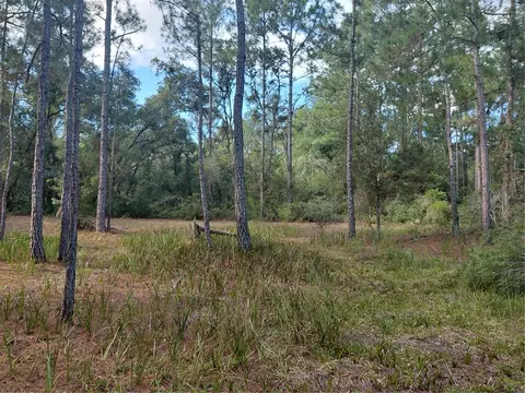 Grindstone Drive, Webster, FL 33597 photo 10