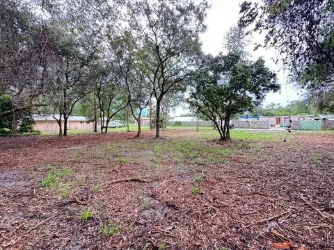 Luella Avenue, Paisley, FL 32767