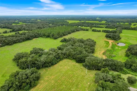 1382 Cr 722, Webster, FL 33597 photo 10