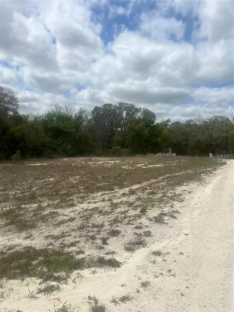 Cleft Rock St, Webster, FL 33597 photo 5