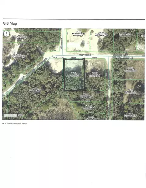 Cleft Rock St, Webster, FL 33597 photo 3