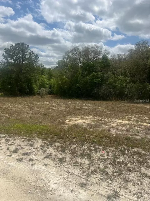 Cleft Rock St, Webster, FL 33597 photo 2