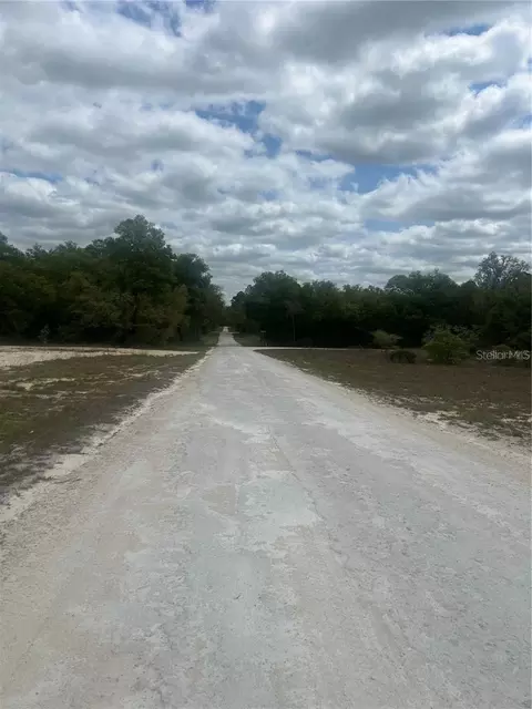 Cleft Rock St, Webster, FL 33597 photo 4