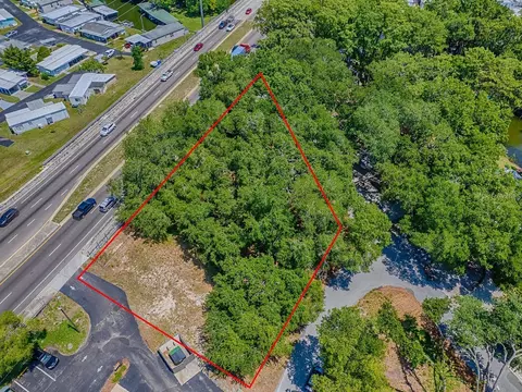 Lion Lane, Tavares, FL 32778