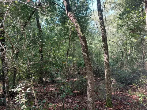 Butternut Drive, Webster, FL 33597 photo 10