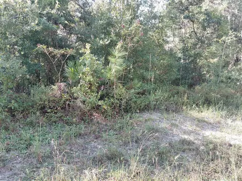 Butternut Drive, Webster, FL 33597 photo 14