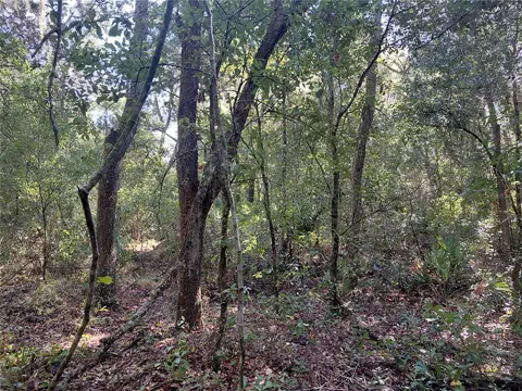 Butternut Drive, Webster, FL 33597 photo 8