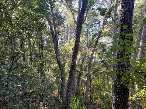 Butternut Drive, Webster, FL 33597 photo 3