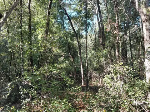 Butternut Drive, Webster, FL 33597 photo 12