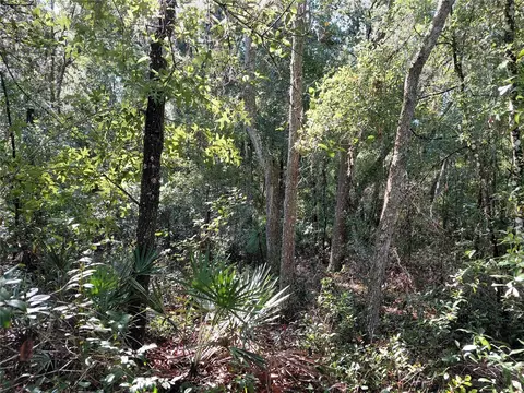 Butternut Drive, Webster, FL 33597 photo 11