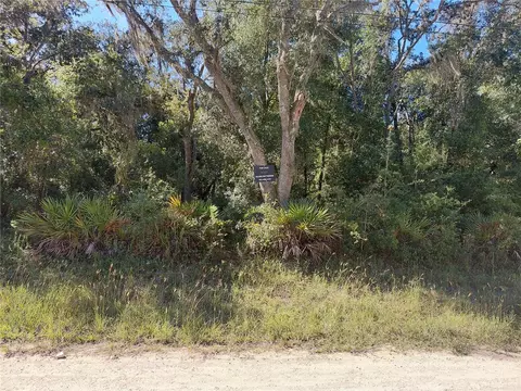 Butternut Drive, Webster, FL 33597 photo 4