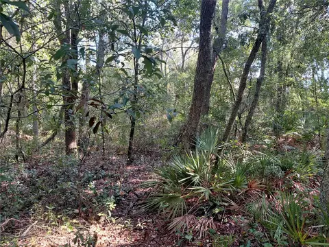 Butternut Drive, Webster, FL 33597 photo 7