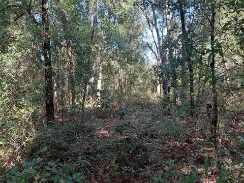 Butternut Drive, Webster, FL 33597 photo 2