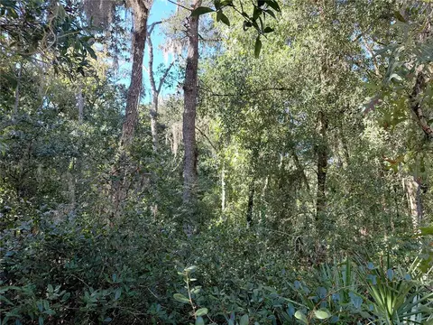 Butternut Drive, Webster, FL 33597 photo 13