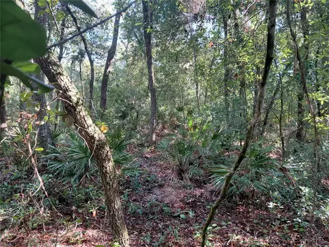 Butternut Drive, Webster, FL 33597 photo 5