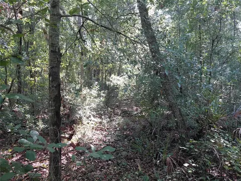 Butternut Drive, Webster, FL 33597 photo 6