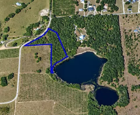 Skyline Drive, Umatilla, FL 32784 photo 3
