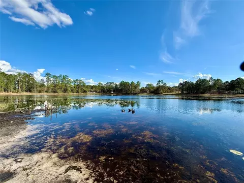 View/Area - 41428 Royal Trails Rd, Eustis, FL 32736 photo 2 of 3