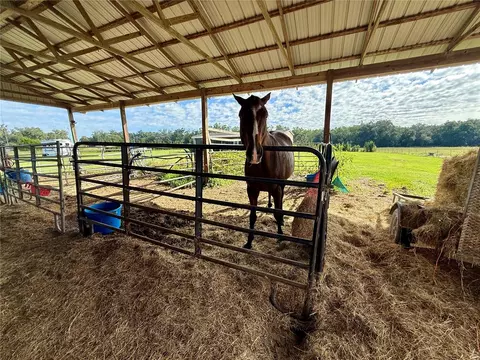 Other - 23667 81st Rd, O Brien, FL 32071 photo 8 of 28