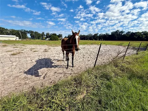 Other - 23667 81st Rd, O Brien, FL 32071 photo 17 of 28