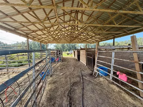 Other - 23667 81st Rd, O Brien, FL 32071 photo 7 of 28