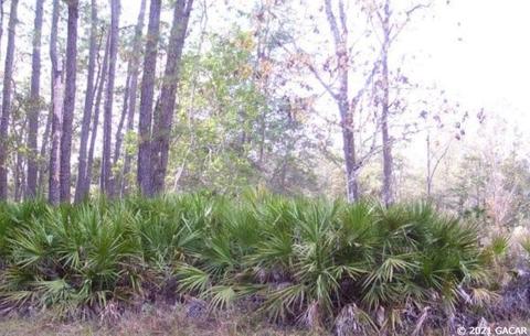 101 Del Monaco Ave, Interlachen, FL 32148 photo 1
