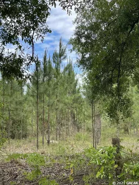 26485 45th Rd, O Brien, FL 32071 photo 1