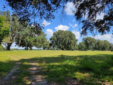 16116 NW 12th Ave, Newberry, FL 32669