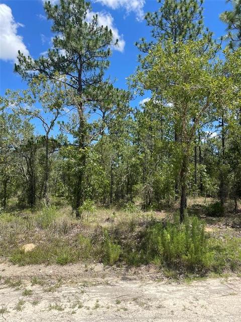0000 SW 89th St #LOT 2, Dunnellon, FL 34432