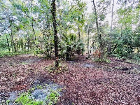 8 Easy Street, Bronson, FL 32621 photo 1
