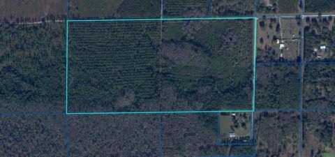 Tbd B1 NW 290th Avenue, Alachua, FL 32615