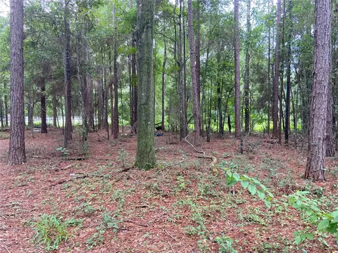 00 NW 257th Ter, High Springs, FL 32643