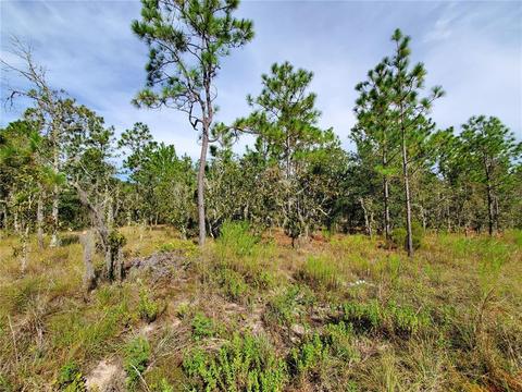 Tbd NE 151st Avenue, Williston, FL 32696