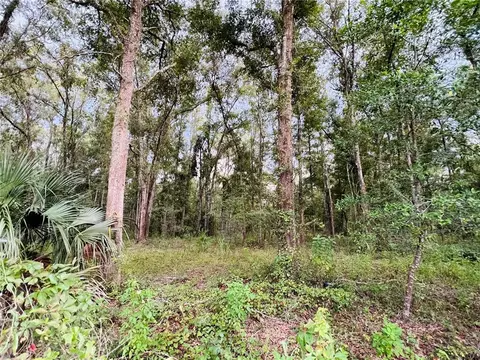 Lot 7 NW 67th Place, Bell, FL 32619
