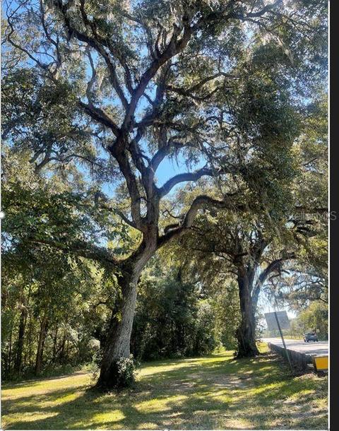 NW Millhopper Road, Alachua, FL 32615