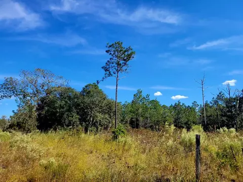 NE 76 Street, Bronson, FL 32621