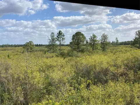 Tbd SE Bennett Road, Mayo, FL 32066